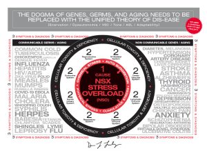 Discover Neuro-Biomedicine Health, Dr. Farley’s personalized, science-based program for restoring function and reducing chronic stress to improve long-term health.