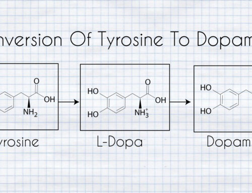Dopamine, Biochemistry, and Stress